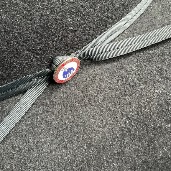 🆕Resistol Professional Rodeo Cowboys Assn Hat - Picture 3 of 7